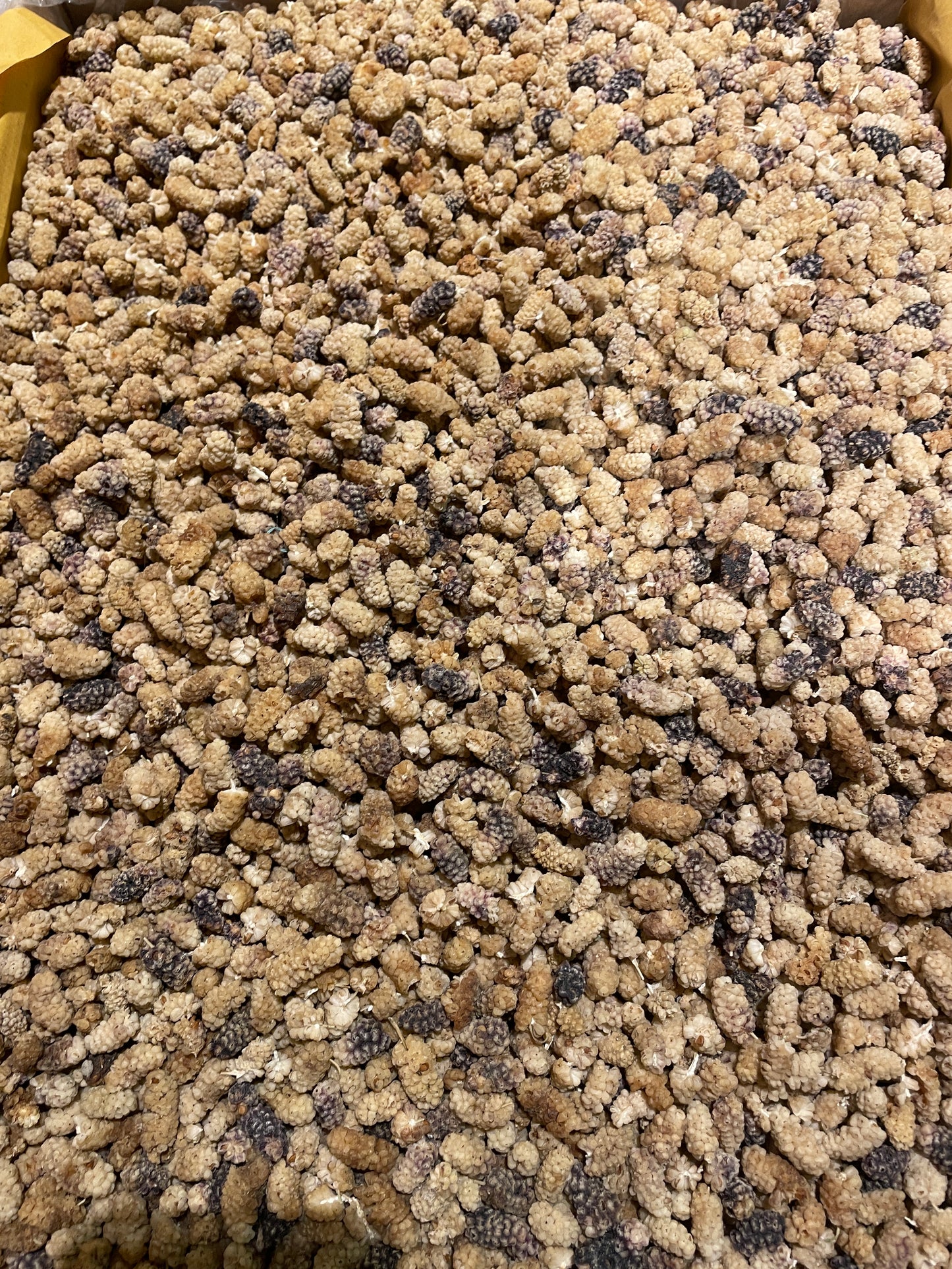 Mullbär (Toot Khodi)500g